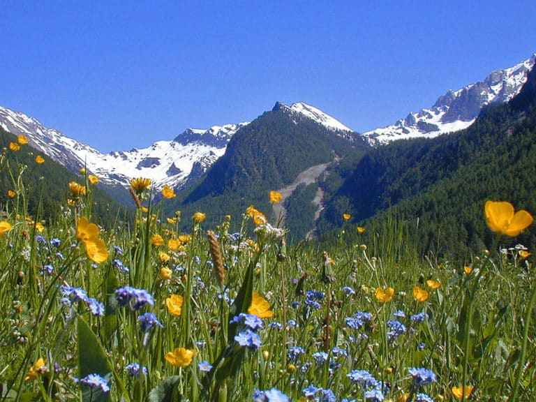 Les plus belles stations de montagne durant l&rsquo;été