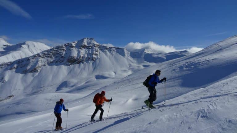 Comment acheter une hardshell ?