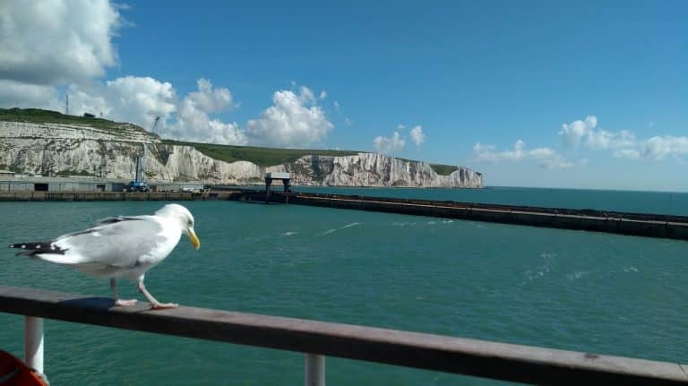 Que voir et faire dans la Manche Normandie ?