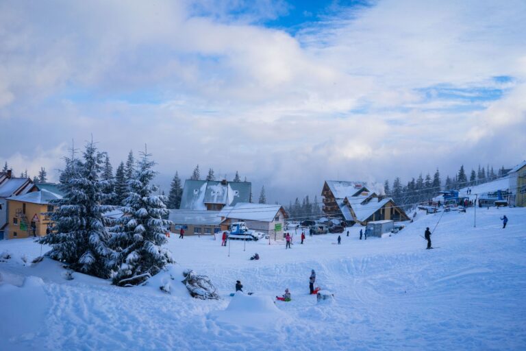 Où trouver le logement idéal pour des vacances en montagne?