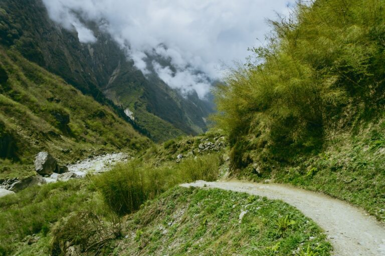 Partir à la montagne : une solution pour se ressourcer et se dépayser ?