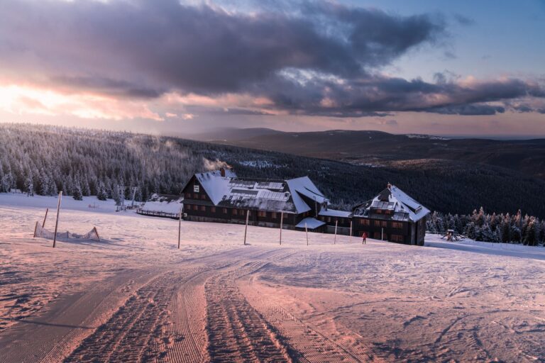Où trouver le logement idéal pour vos vacances en montagne ?