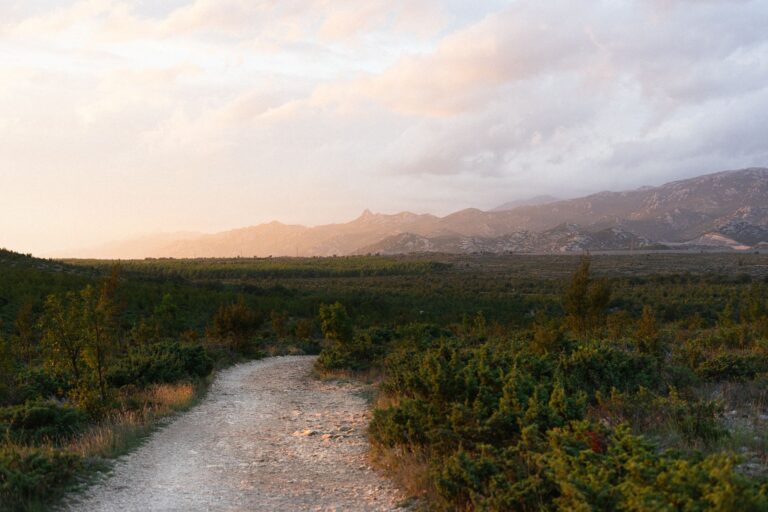 Vous cherchez un véritable havre de paix en montagne pour vos vacances ?