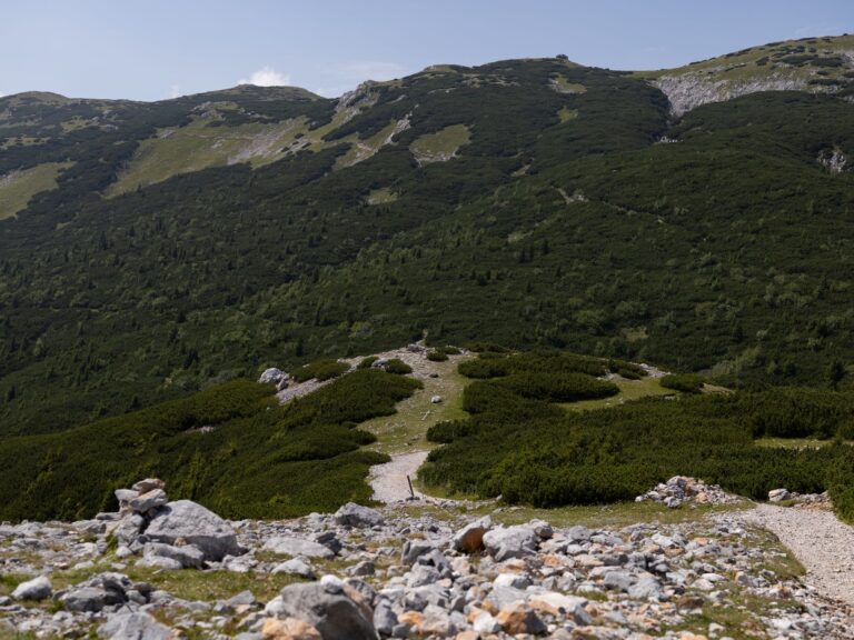 La randonnée en montagne : comment en profiter pleinement ?