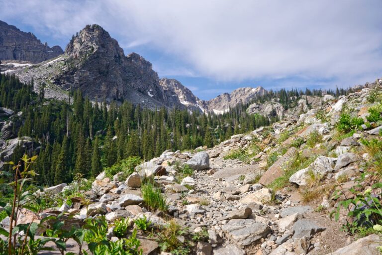 Trouver le calme en montagne : est-ce la clé pour des vacances revitalisantes ?