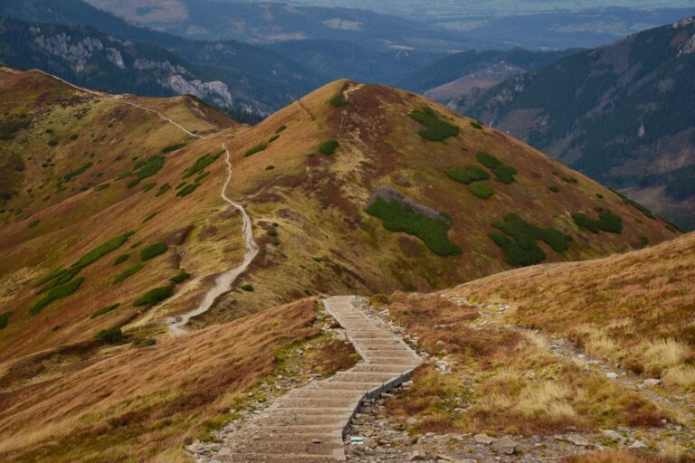 La randonnée en montagne : un plaisir pour des vacances actives ?