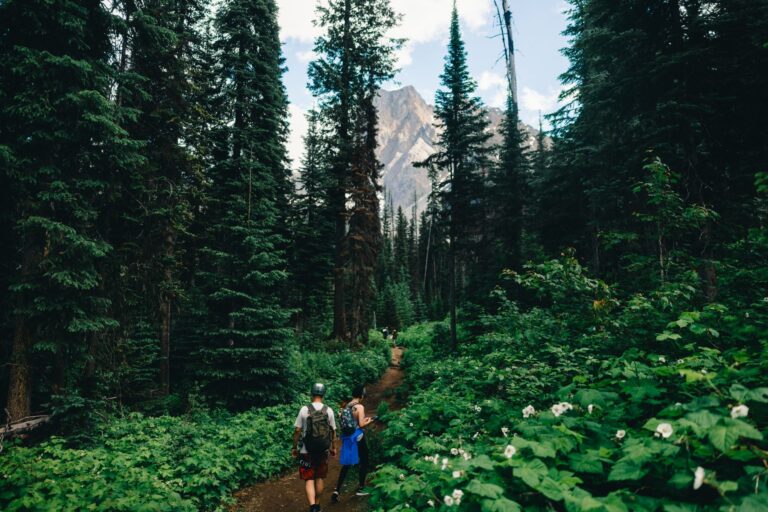 Vous cherchez un endroit pour des vacances ressourçantes au coeur des montagnes ?