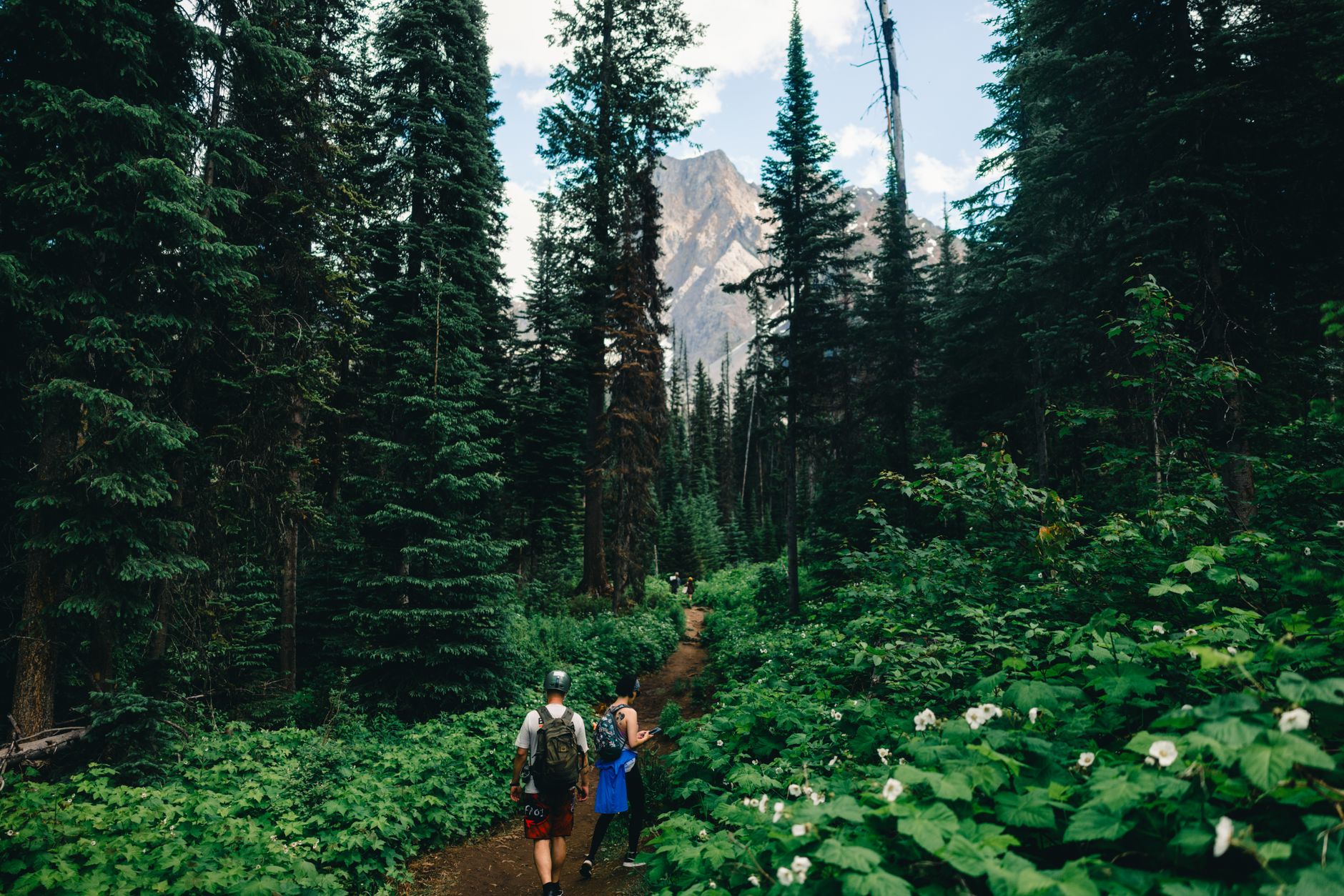 Vous cherchez un endroit pour des vacances ressourçantes au coeur des montagnes ?