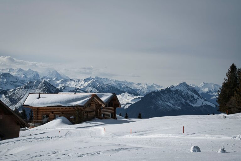 Quels sont les meilleurs chalets pour des vacances en montagne ?