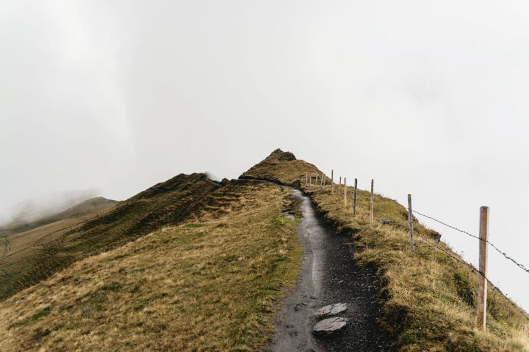 Envie de défier vos limites lors d&rsquo;une randonnée en montagne pour des vacances toniques ?