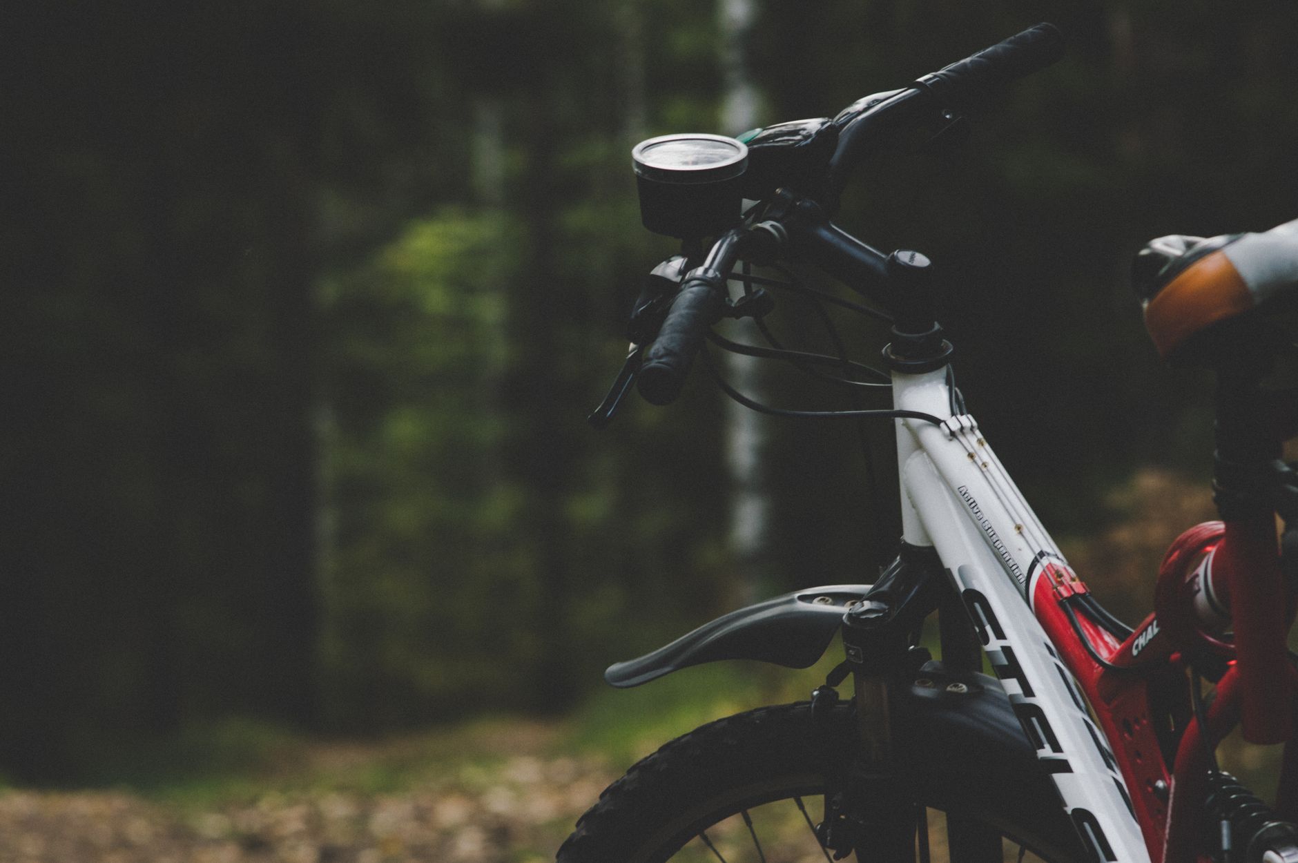 Gros plan d'un VTT sur un sentier forestier, capturant des thèmes d'aventure en plein air.